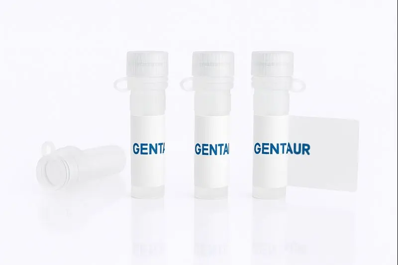 Ephrin-A5/EFNA5, Rat (HEK293, Fc)