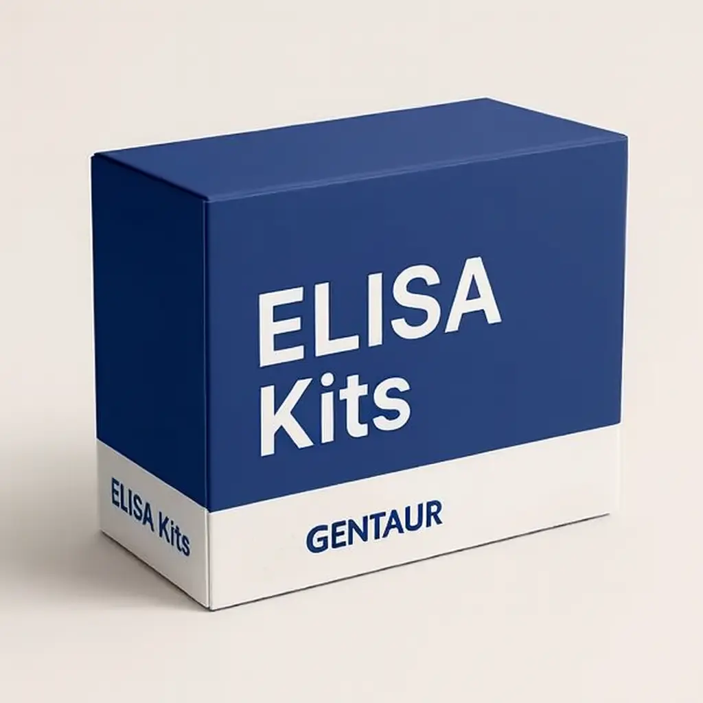 Estradiol ELISA Test Kit