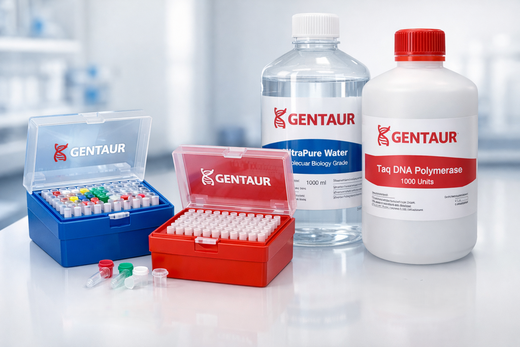 BCA Protein Assay
