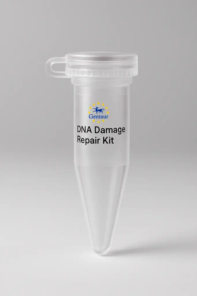 DNA Damage Repair Kit